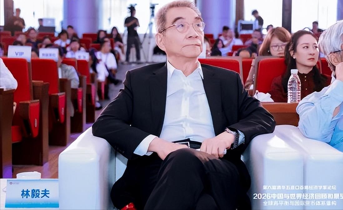 一个隐藏了20年的真相，被林毅夫揭开了。近日一场宏观论坛上，他直指：全球最大的问