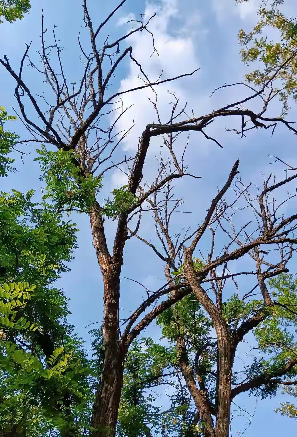 女儿考上了名牌大学，我谁也没有通知，就跟大家说反正考上大学了，很普通的学校。女儿