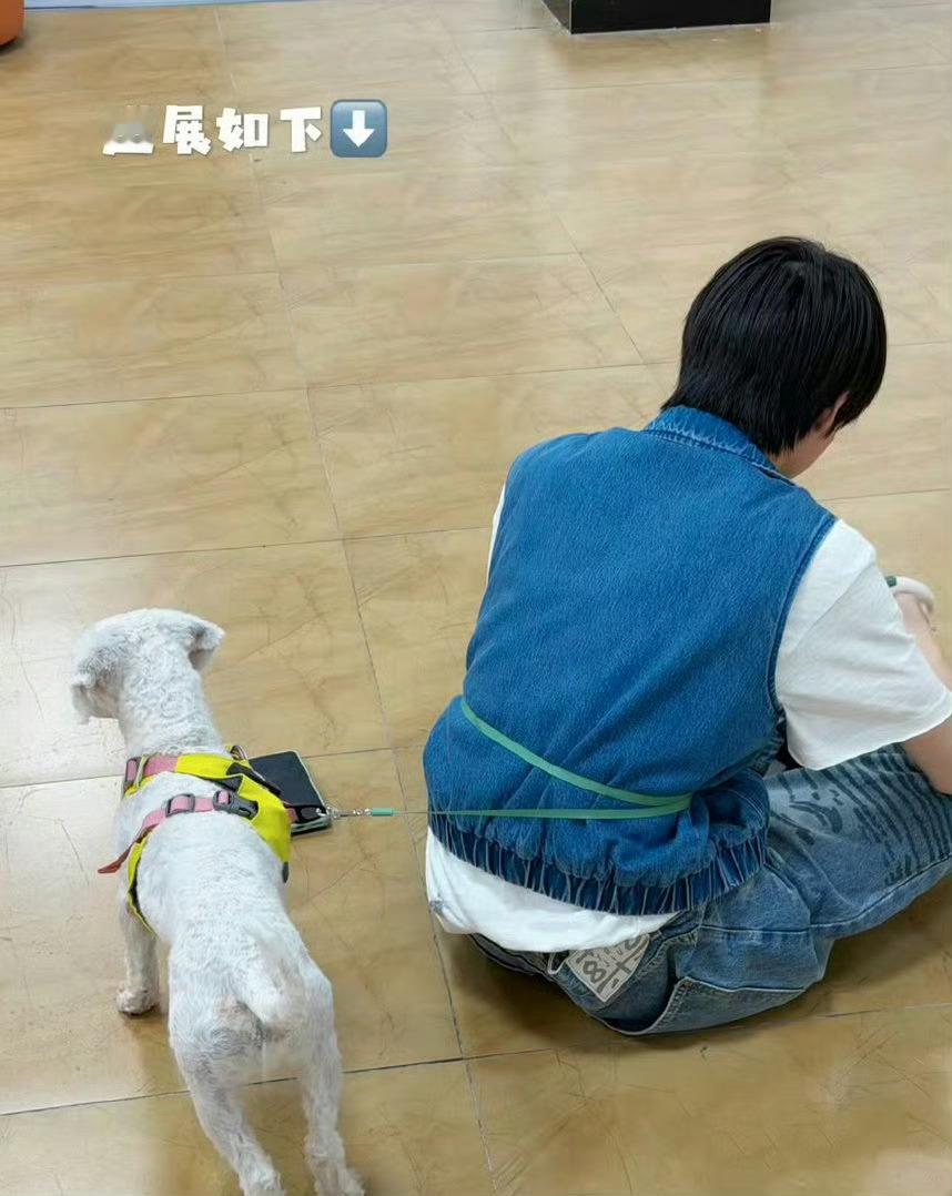 曝时代峰峻工作人员卖流浪狗sdfj到底怎么了有人说把那只狗卖了六位数真的假的啊