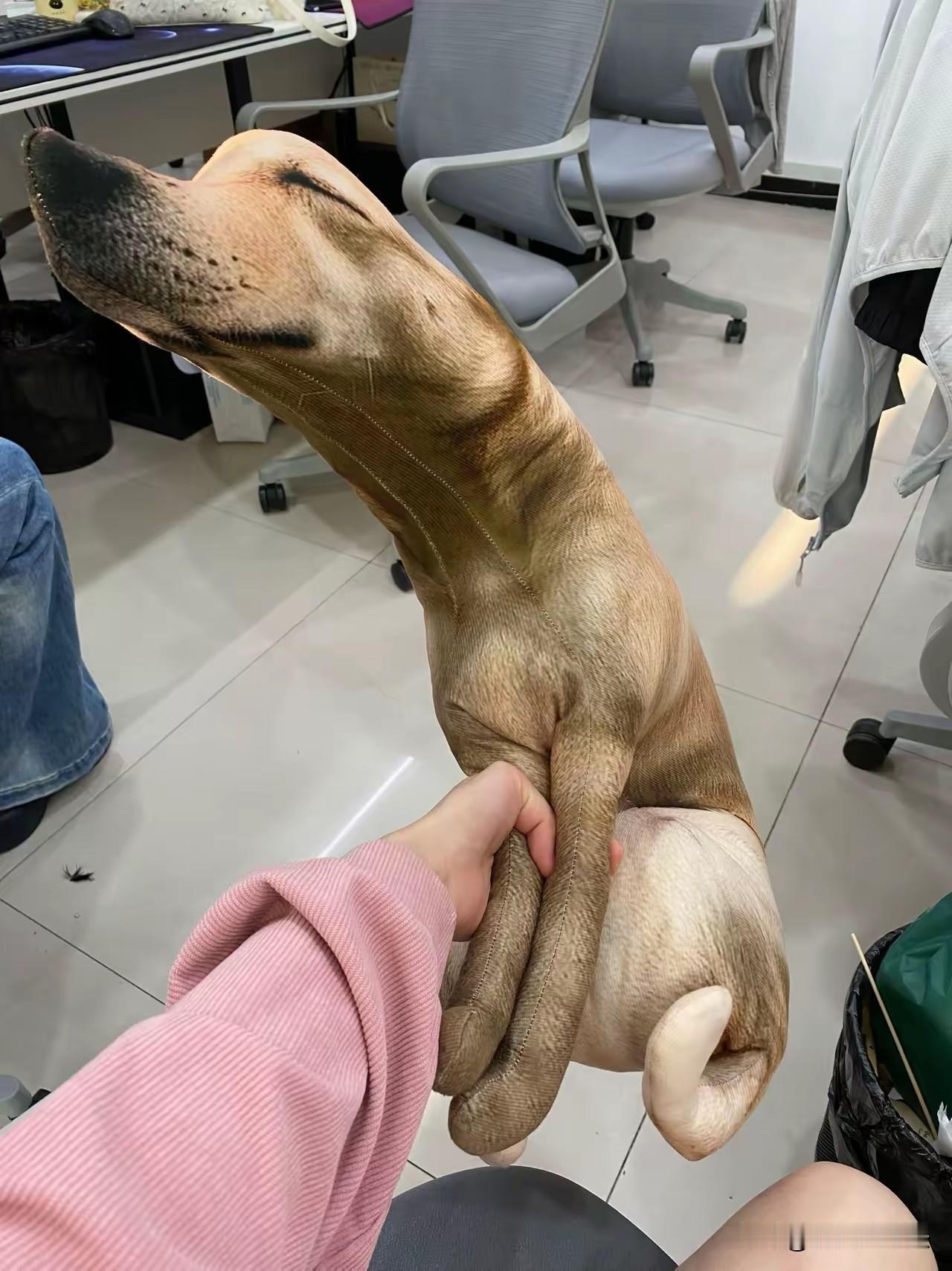 终于懂什么叫扶贫式婚姻，跟女友回家，见过家人，我当晚买返程票​我跟我女朋友处了
