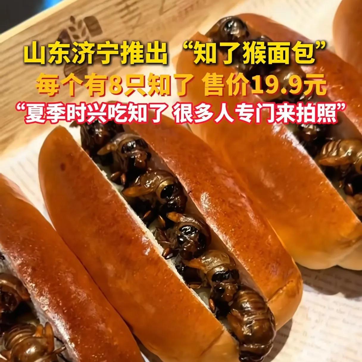 果然很山东！山东济宁推出“知了猴面包”，有8只知了猴，售价19.9元？！