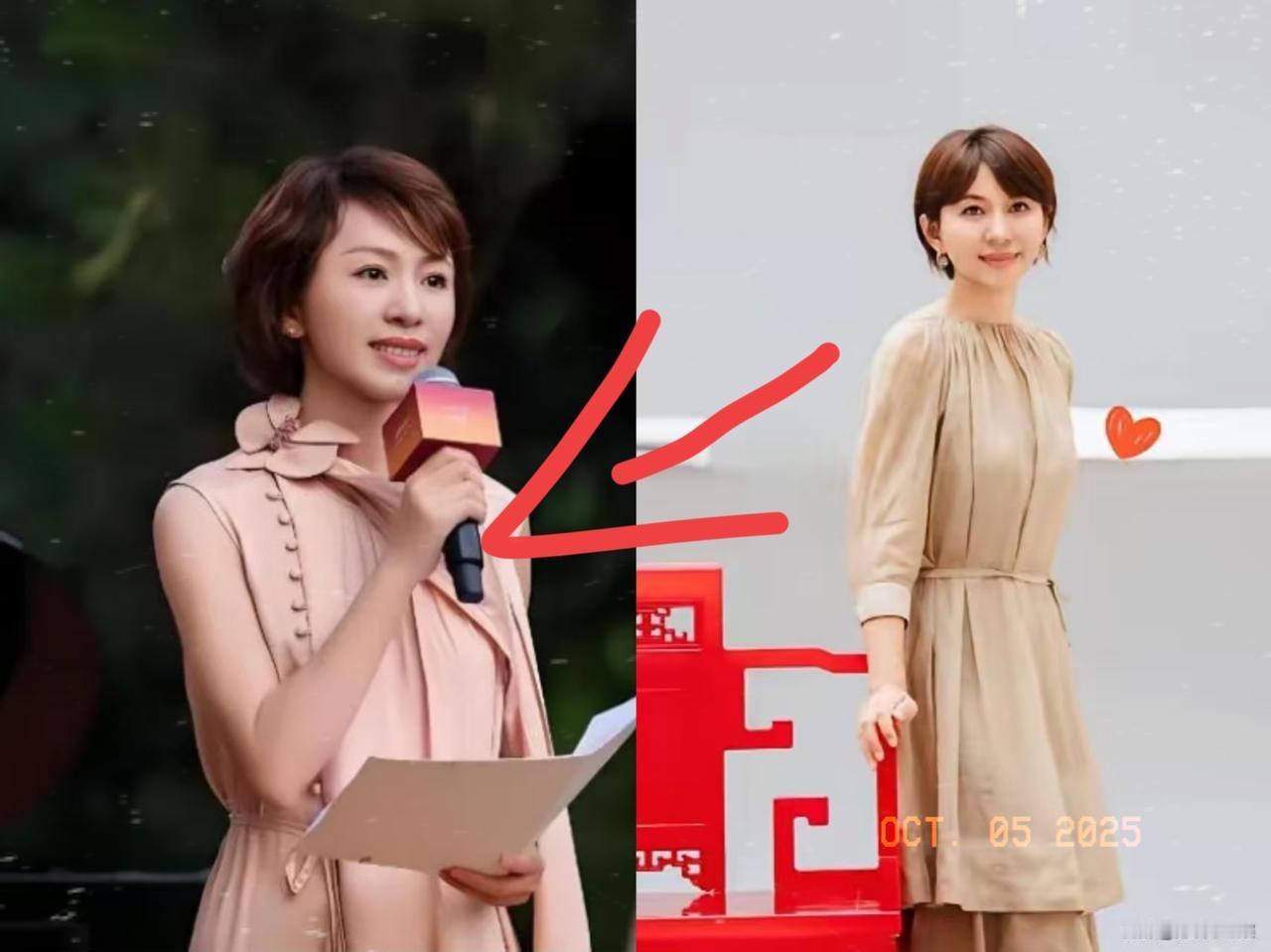 明眼人早就看透了欧阳夏丹两年前离开央视这事儿根本不是什么单纯的为母尽孝，而