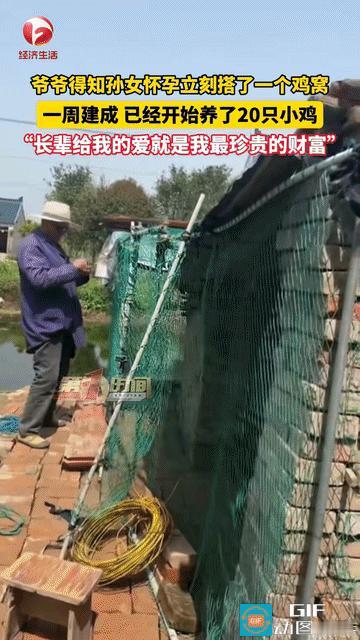 泪目了！江苏南通，爷爷得知孙女怀孕了，第二天就去买砖头花一周的时间盖了一个鸡窝，