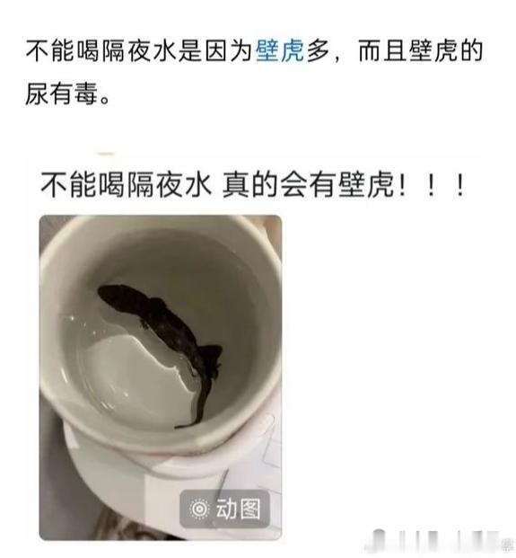 我管你这那的！