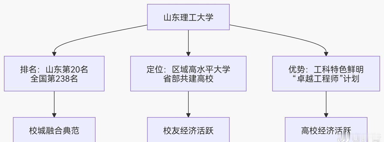 山东理工大学在山东省内的高校中，综合排名大约在第20名左右（2025年校友会排名