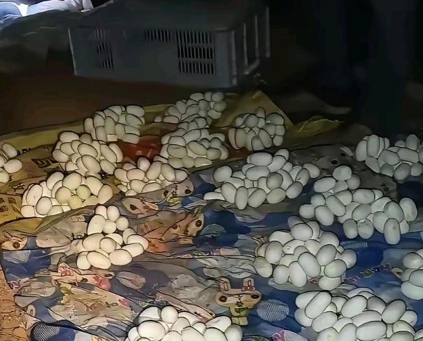头皮发麻！江西小伙半年没回家，开门直接吓傻了！6月12日，江西一小伙时