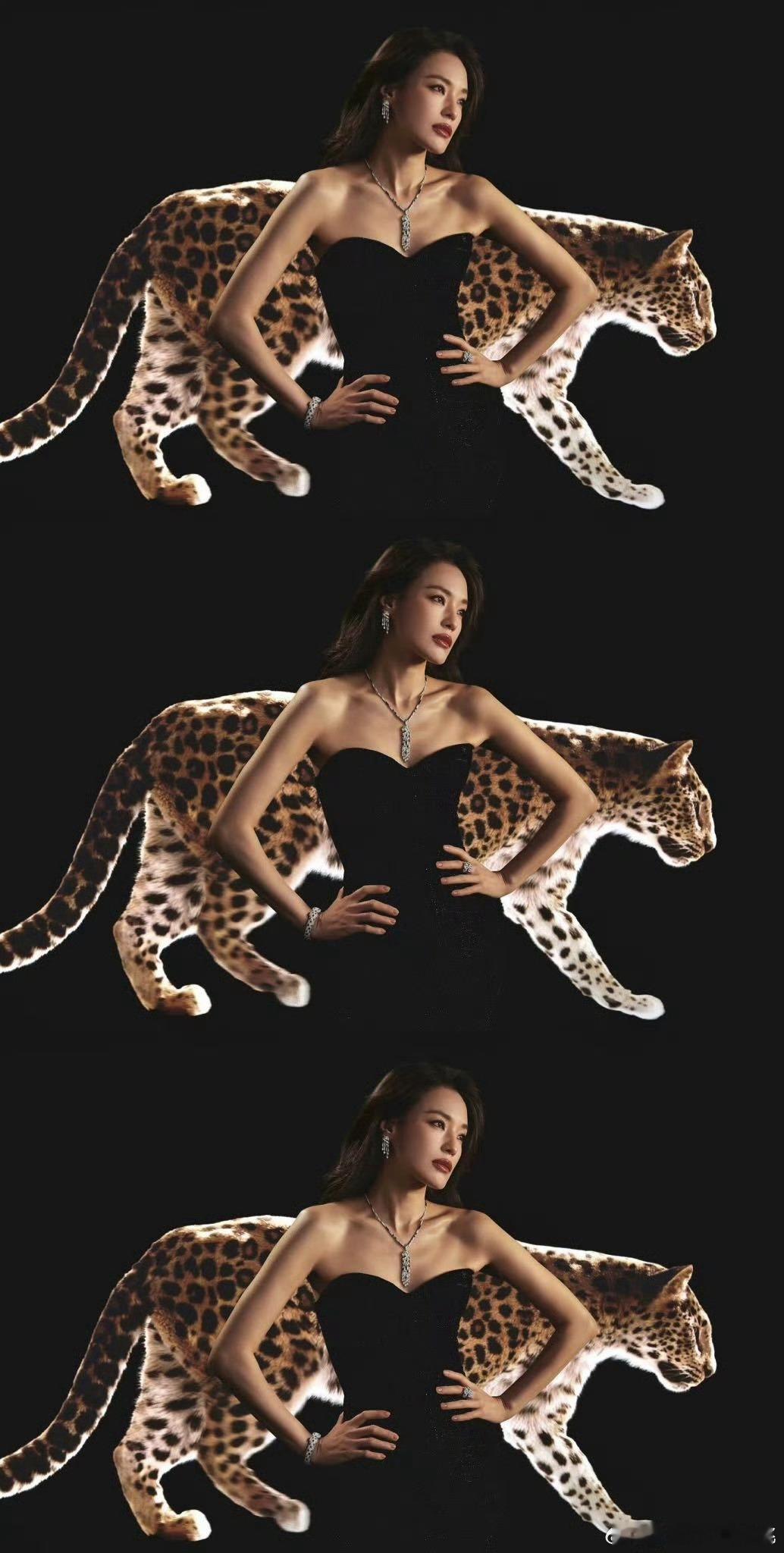 卡地亚你有林女士是你的福气啊​​​