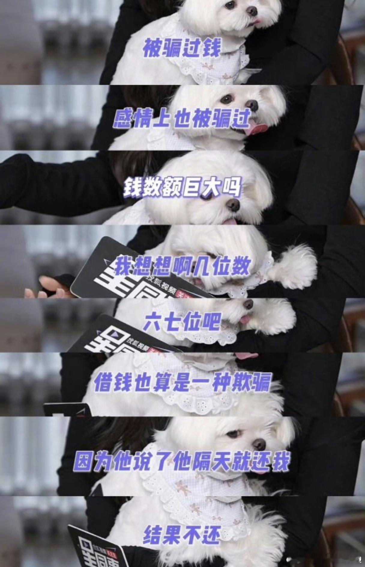 李一桐自曝被骗金额达六七位数“说明天就还”可能真的是借钱界最经典的一句话😂六