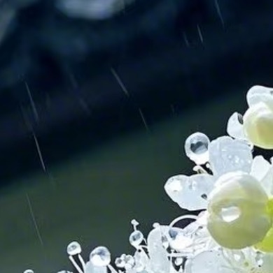 0000珍珠梅种植一、栽植时节珍珠梅适宜在春季萌芽前或秋季落叶后进行移栽。最佳栽