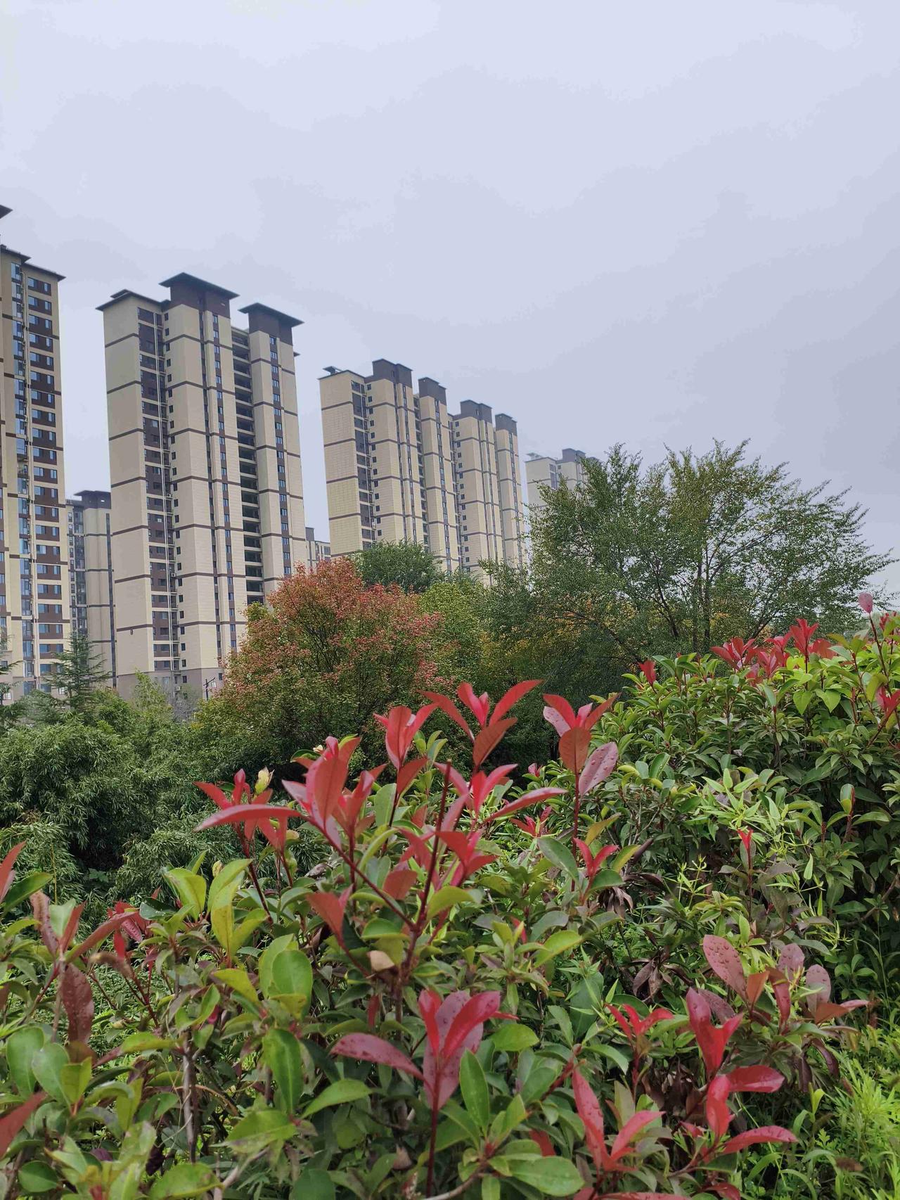 楼上又有人装修，早上八点就开始叮叮咚咚，噪声不断。早上在家做健身操，装修的噪