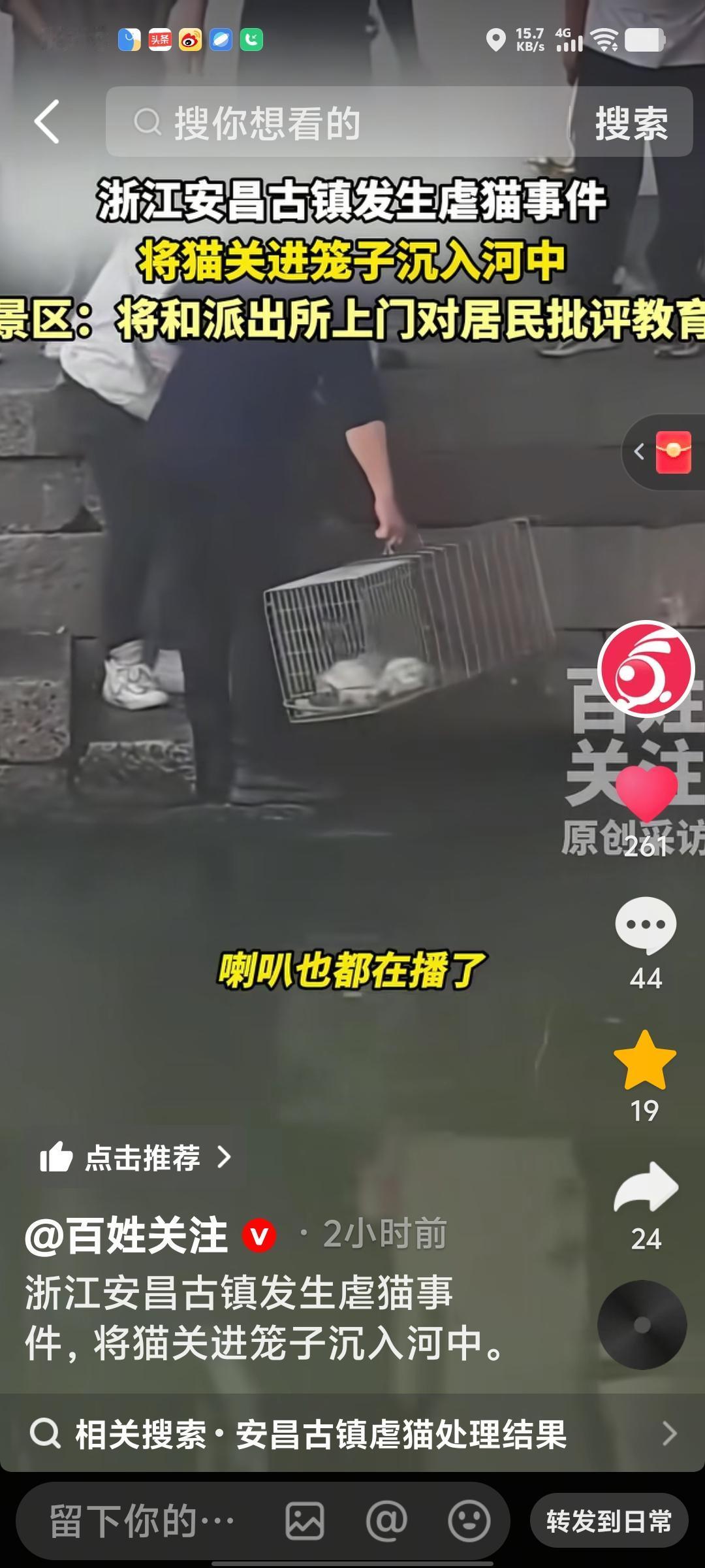 揪心！安昌古镇猫被沉河，近百猫遭“伪善放生”溺亡，虐猫为何屡禁不止？浙江安昌