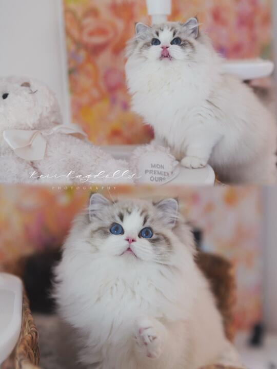 从未见过如此纯净的眼睛～