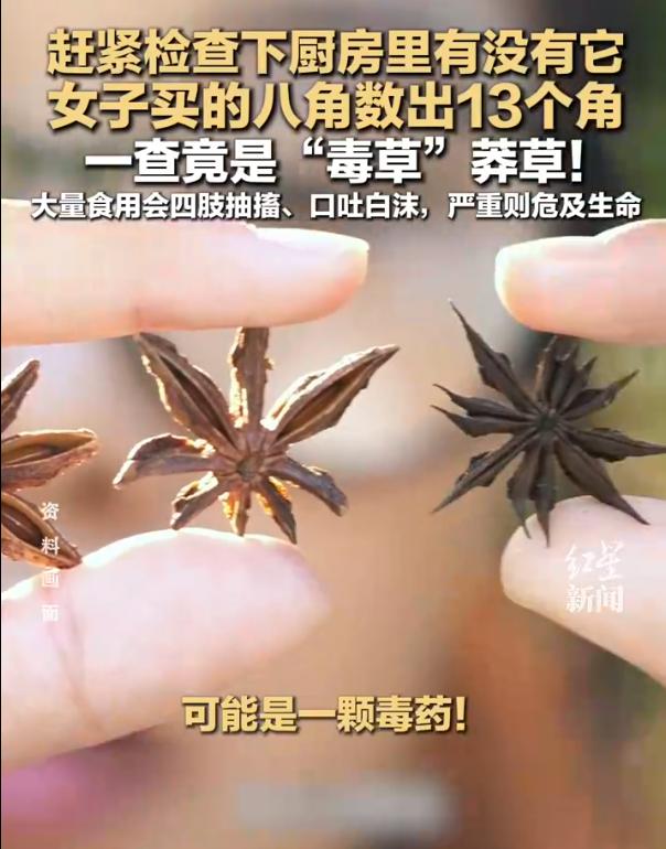 标准自愿、超市不查、批发不检：舟山散装八角混入剧毒莽草，鉴别责任不能全推给厨房！