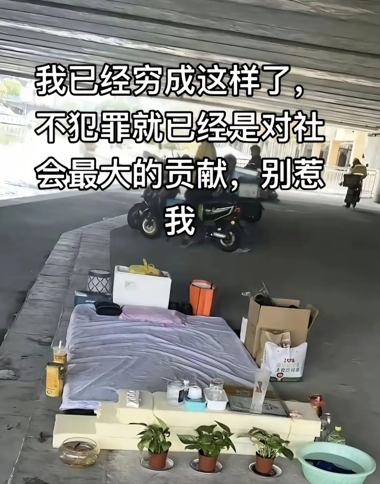 我已经穷成这样了，不犯罪就已经是对社会最大的贡献，别惹我​​​