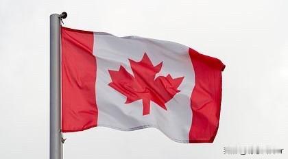 1月26日，丹麦议会议员德拉斯特通过社交网络X发出呼吁，要求丹麦和欧洲帮助加拿大