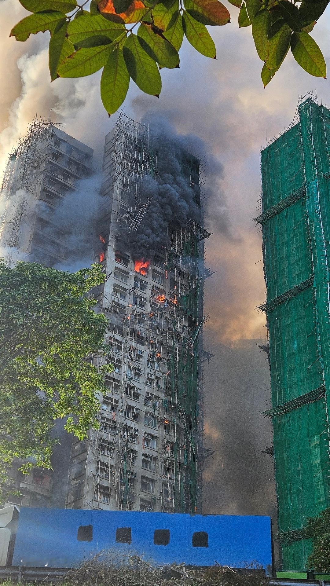 竹脚手架不一定是引燃物，但一定是最大的助燃物。说白了，如果不是那层竹脚手架，就算