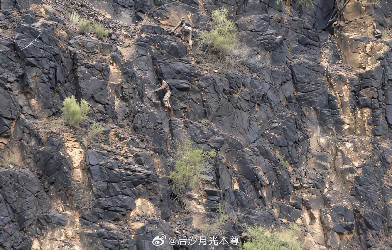 胡塞武装是这样潜入政府军后方的。当他们像幽灵一样袭击对方指挥部时，那场面不要太刺