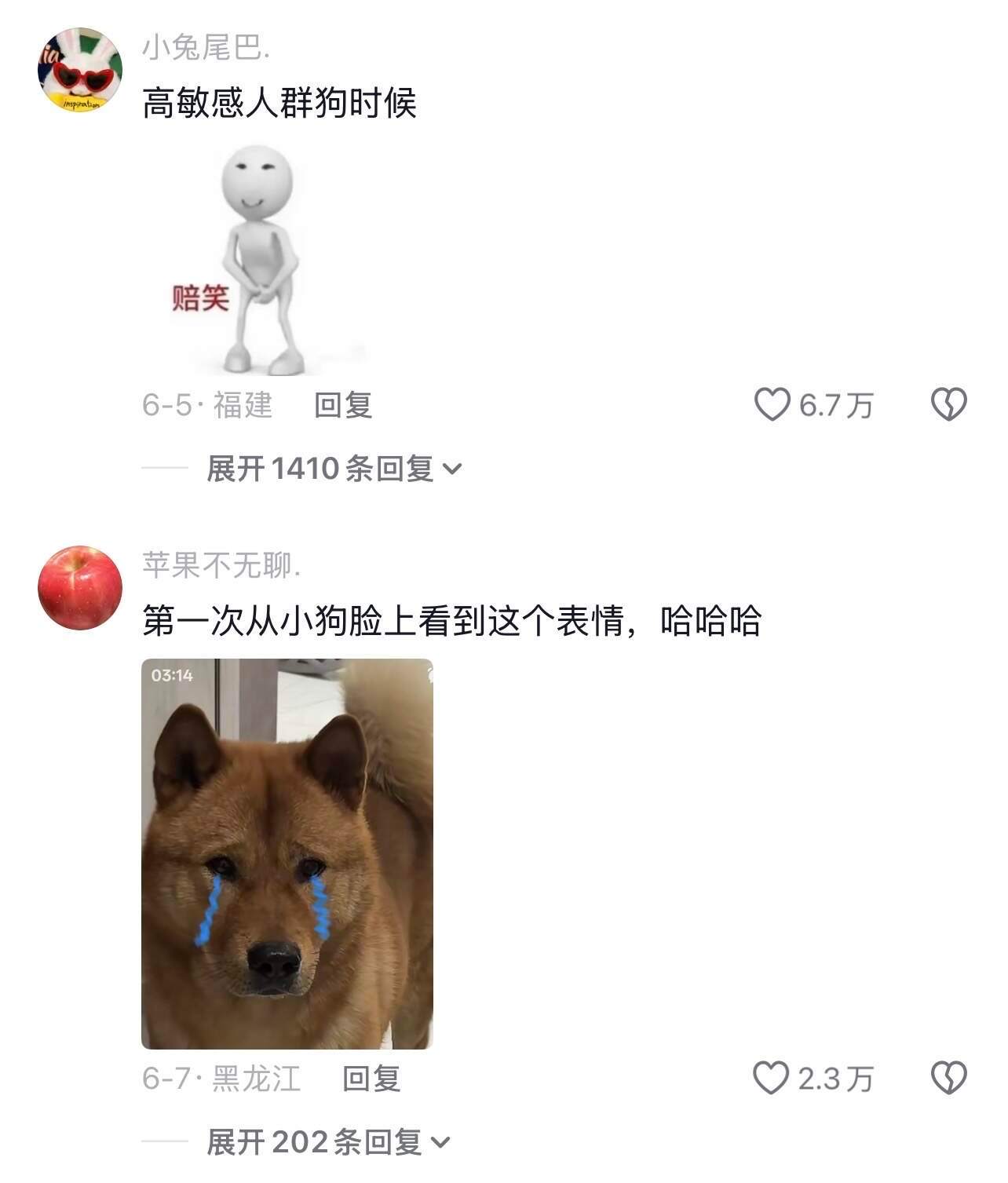 高敏感人群狗时候​​​