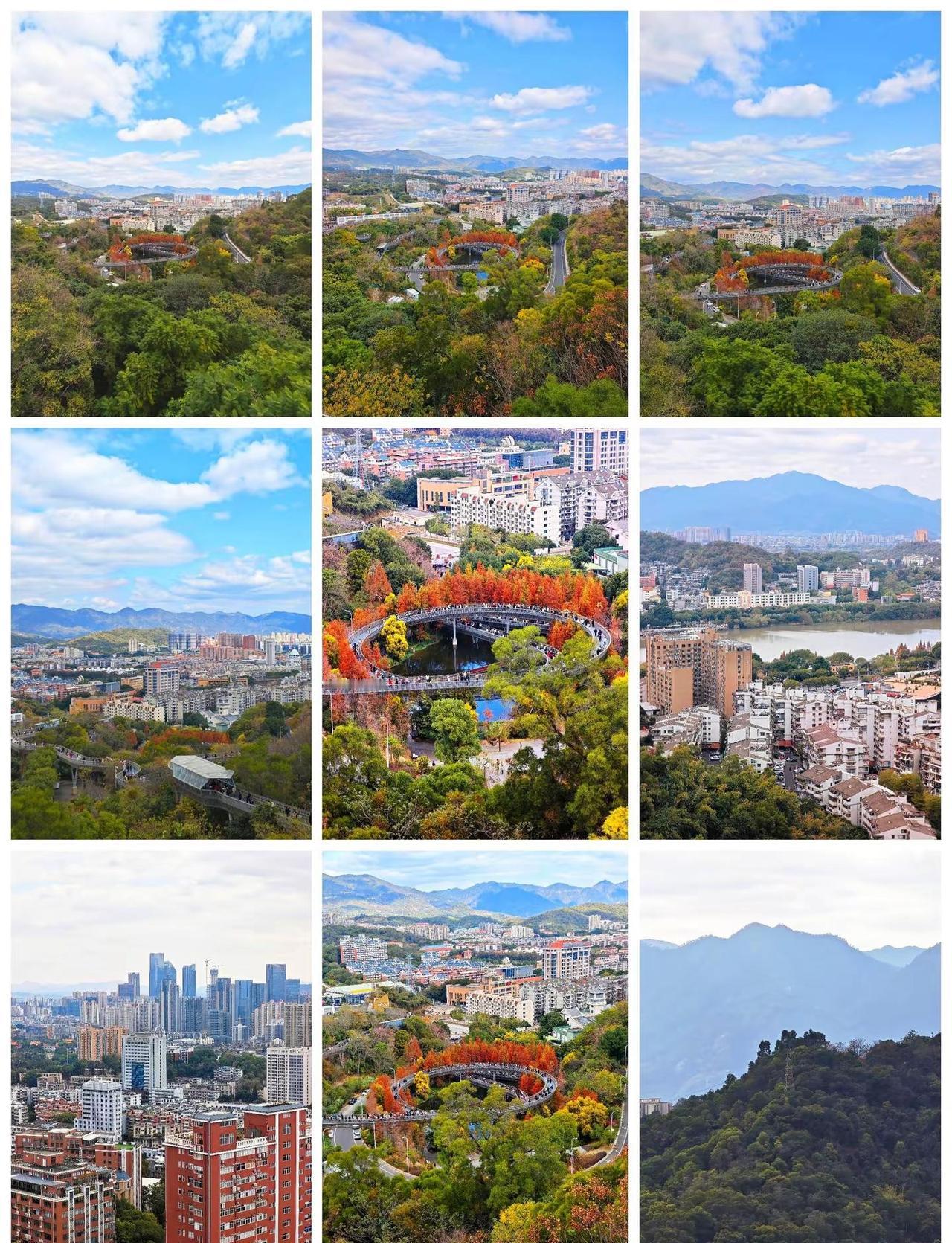 福州丨福道水杉红遍水杉红了徒步周末去哪儿逃离城市