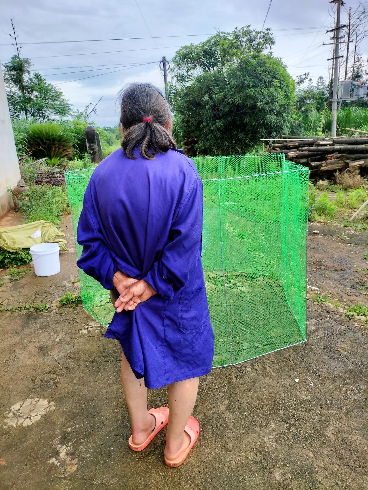房东阿姨被我买的钢丝围网鸡笼给惊呆了，她问我准备养几只鸡？在哪里养？我说是拿回老