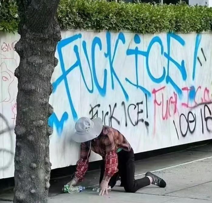 中国大妈在洛杉矶捡瓶子爆火，评论区一言就能看出来是哪国人“这时候了还在捡瓶子，缺