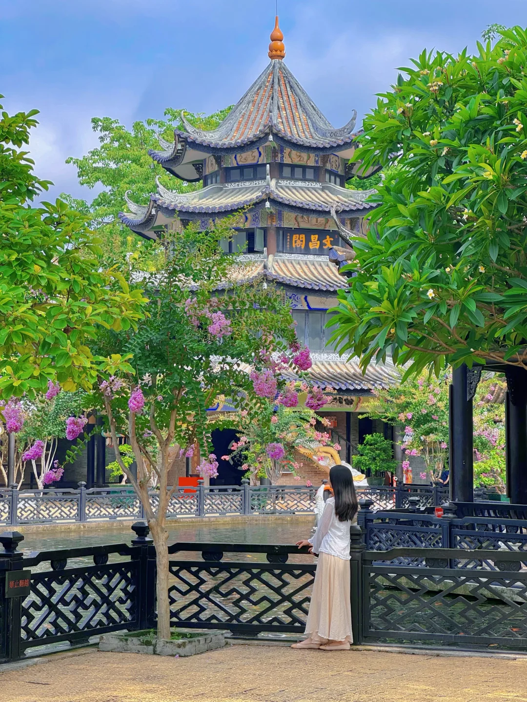 6.7实况～广州这座古园紫薇花🌸美成了古诗词