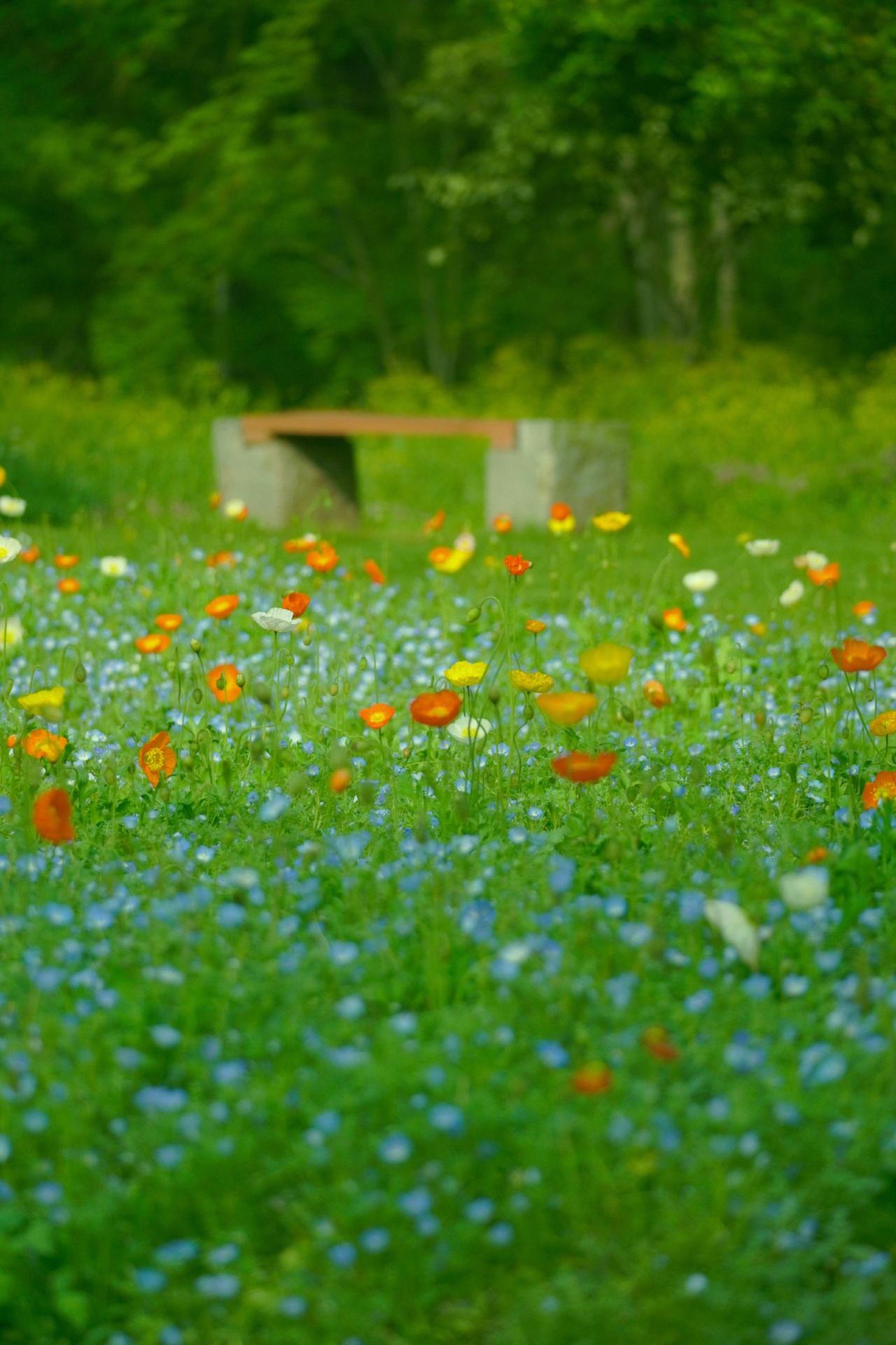 教育的重心是教书还是育人?有人说教书的重心到底是教书还是育人？现在很多学校的重心