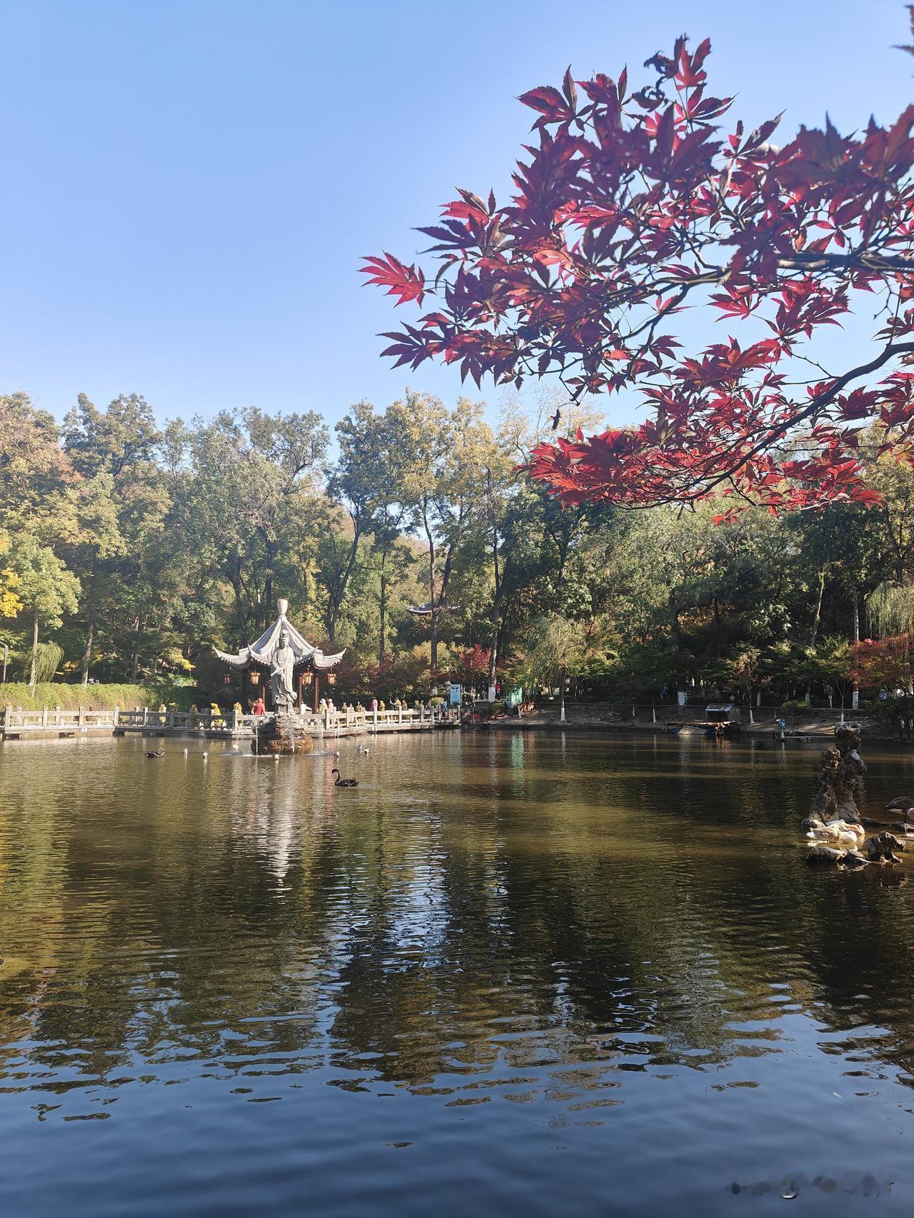 南京栖霞山（古称摄山），国家AAAA级景区、森林公园，以秋日丹枫闻名，坐拥栖霞寺