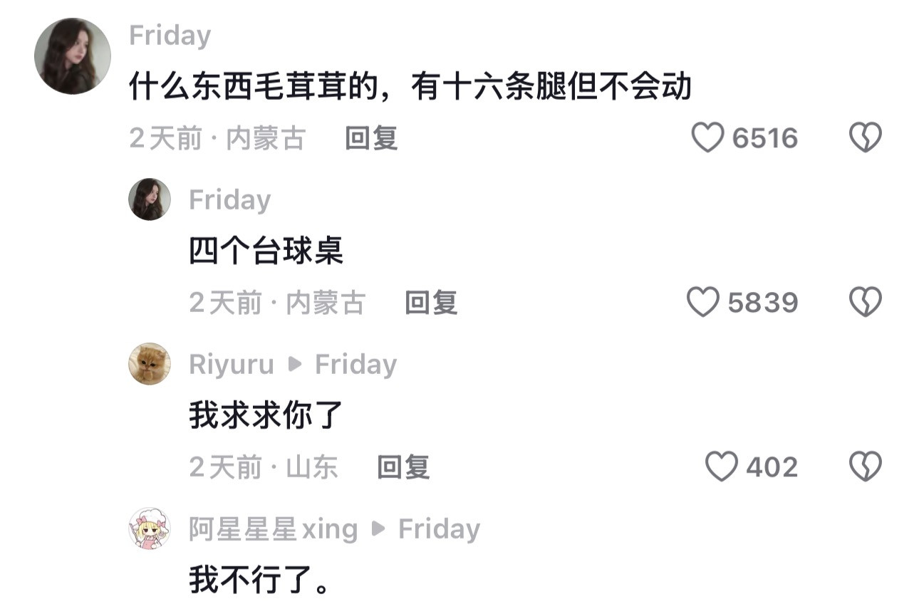 真没时间陪你闹了