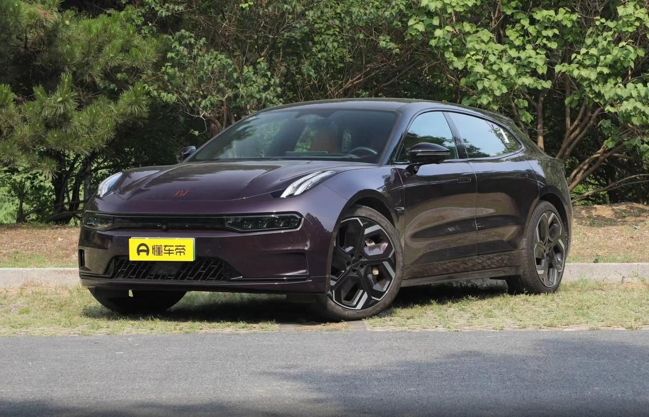 早上堵在高架上，看着满屏的"新能源"广告，突然想：要不买个二手电车？结果发现极氪