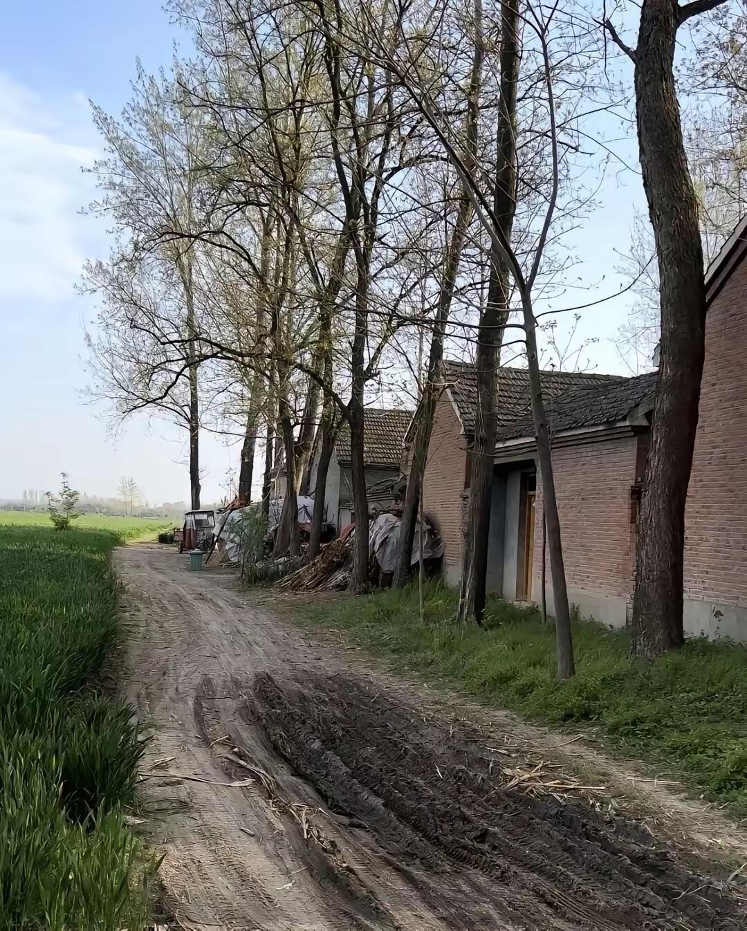 昨天，我儿媳妇生了，是个男孩，我因为在外打工太远了没回去，我给儿媳转5000，过