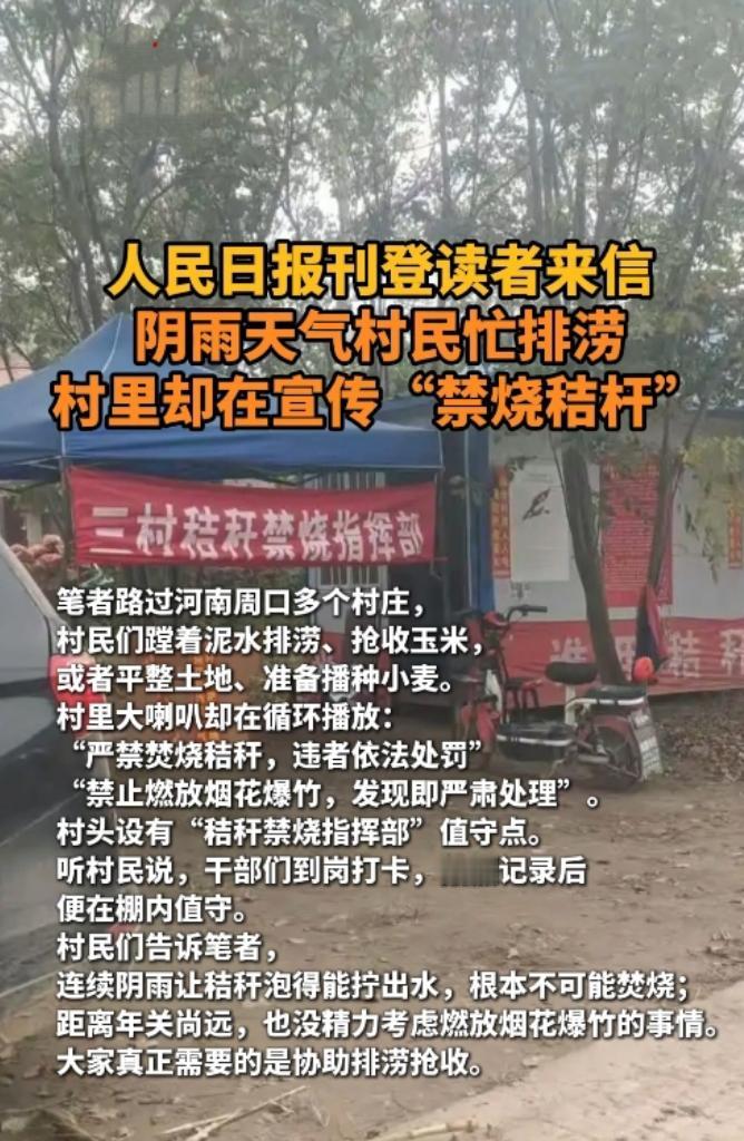 积水里抢收玉米，喇叭还在喊禁烧！老乡：这秸秆都能拧出水了河南周口的农田里，村