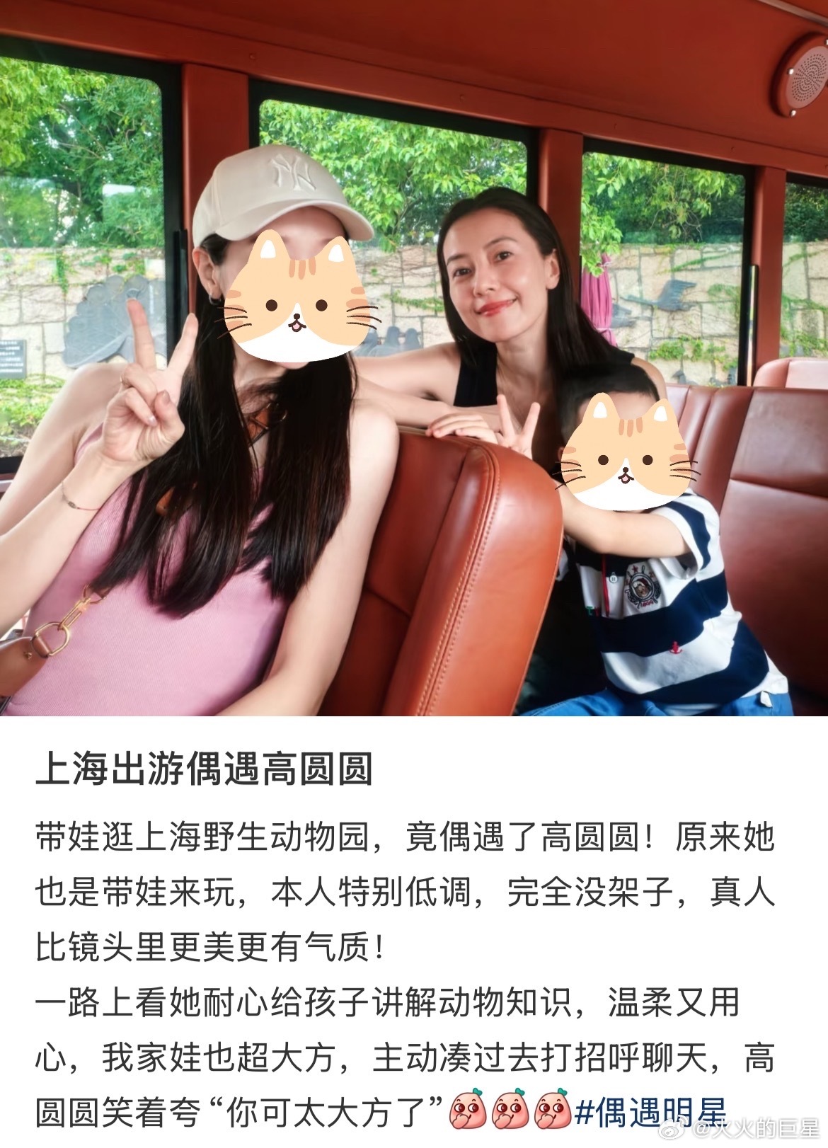 好幸运捏偶遇高圆圆带娃逛上海野生动物园上海出游偶遇高圆圆​​​