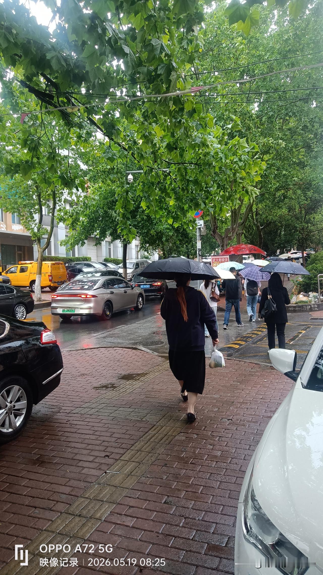 这场大雨彻底把地浇透了山东这场大雨，从昨天白天开始，经过一天下一晚上的反复浇