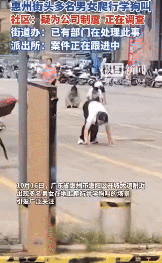 惠州街头员工爬行学狗叫事件。迎来了官方的回答。25年10月16日中午，广东惠州