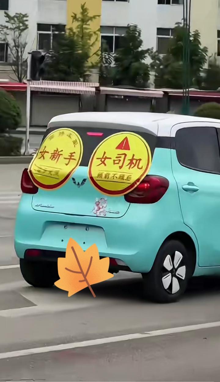 看到女司机心里就有点怵，看到最后她掉到沟里，原谅我不厚道的笑了。其实女人对方