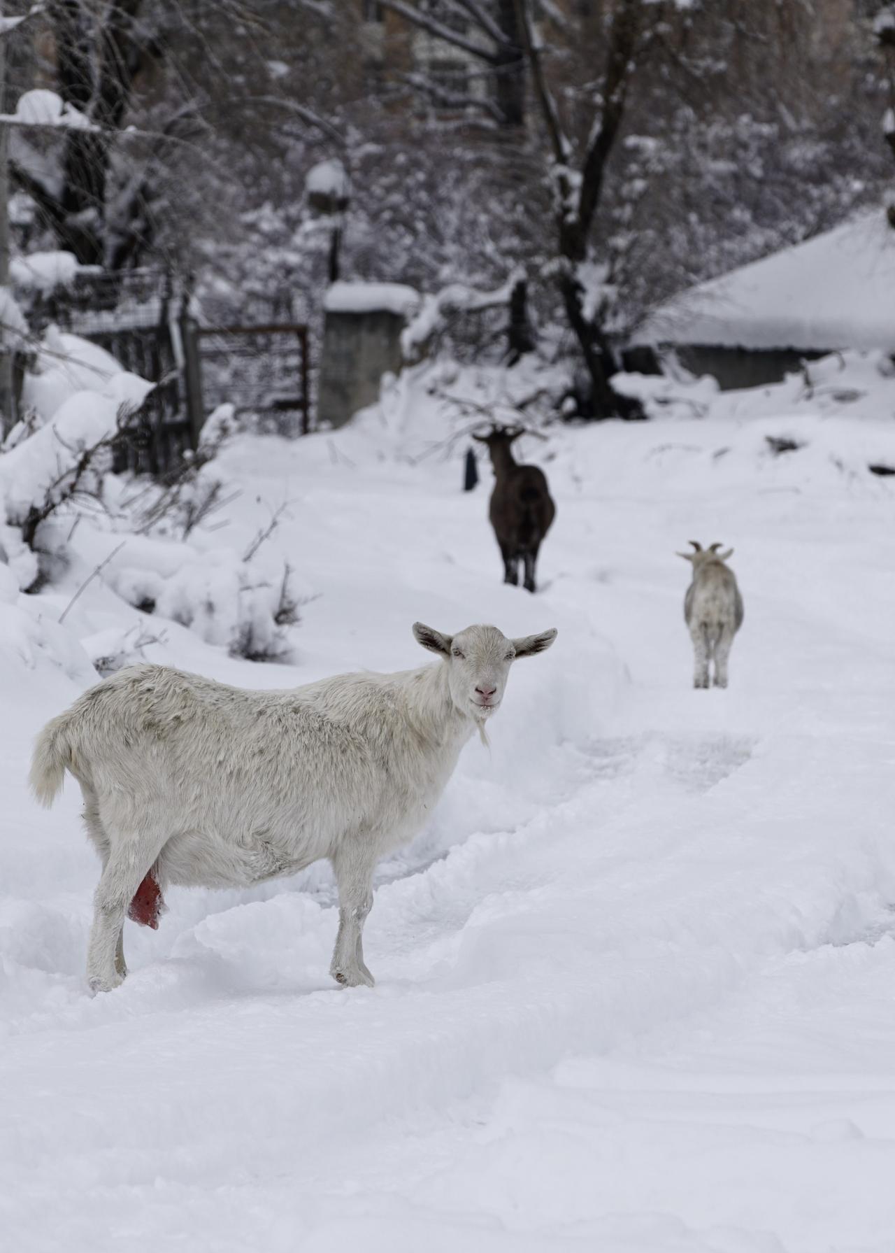 摄影不是你拍了什么，而是＂说＂了什么。