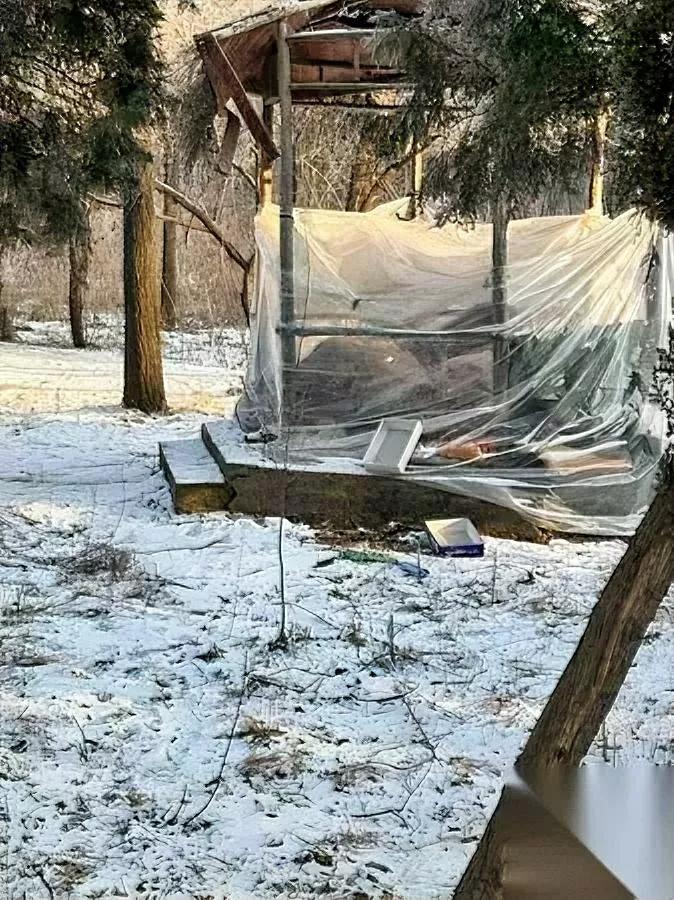 沈阳这大爷，把凉亭住成“家”了。12月的天，塑料布围的小窝，居然能睡？上