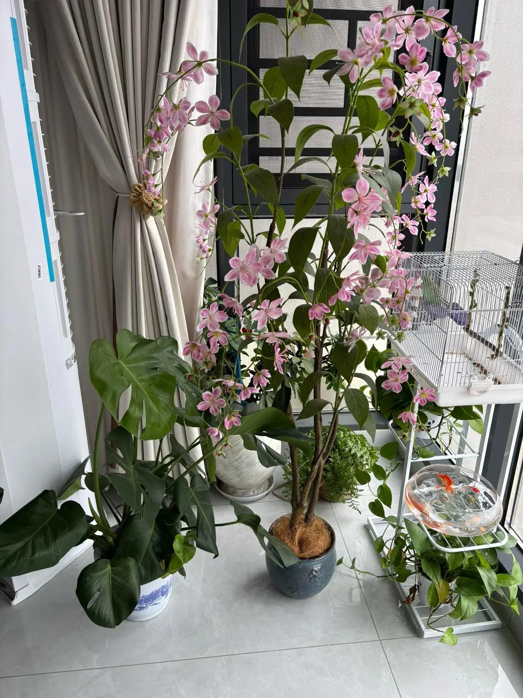 94岁的奶奶跟34岁我说:“别找工作了，我养你。”我说你都94了，万一哪天你不在