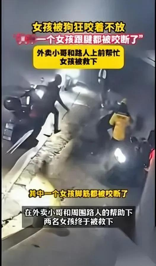 汕头两女生骑电动车突然被大狗追着咬！女生尖叫着拧油门躲，路过的小哥直接冲