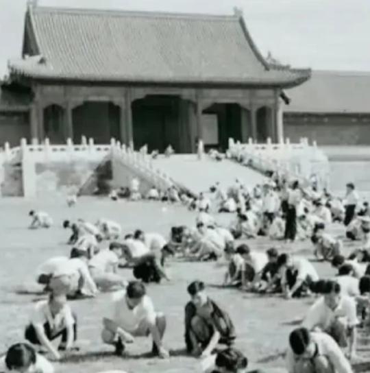 1949年，国家组织了7万人在北京故宫里清理垃圾，历时9个月清理出清末以来近40