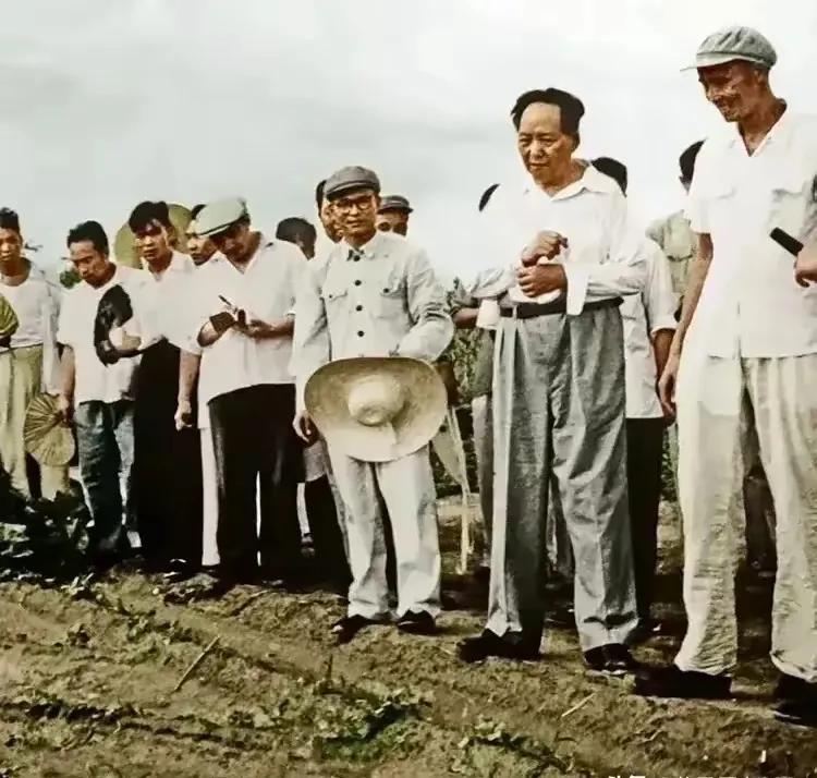 毛主席说：水利是农业的命脉。那时，每逢天旱，毛主席就会来到农田，现场研究解决农田