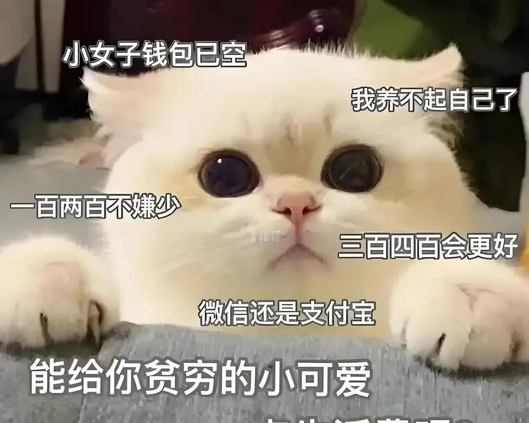 女儿月底说一千五见底，儿子却剩三百，我当晚把两人的账单翻了一遍。女孩食堂刷四十