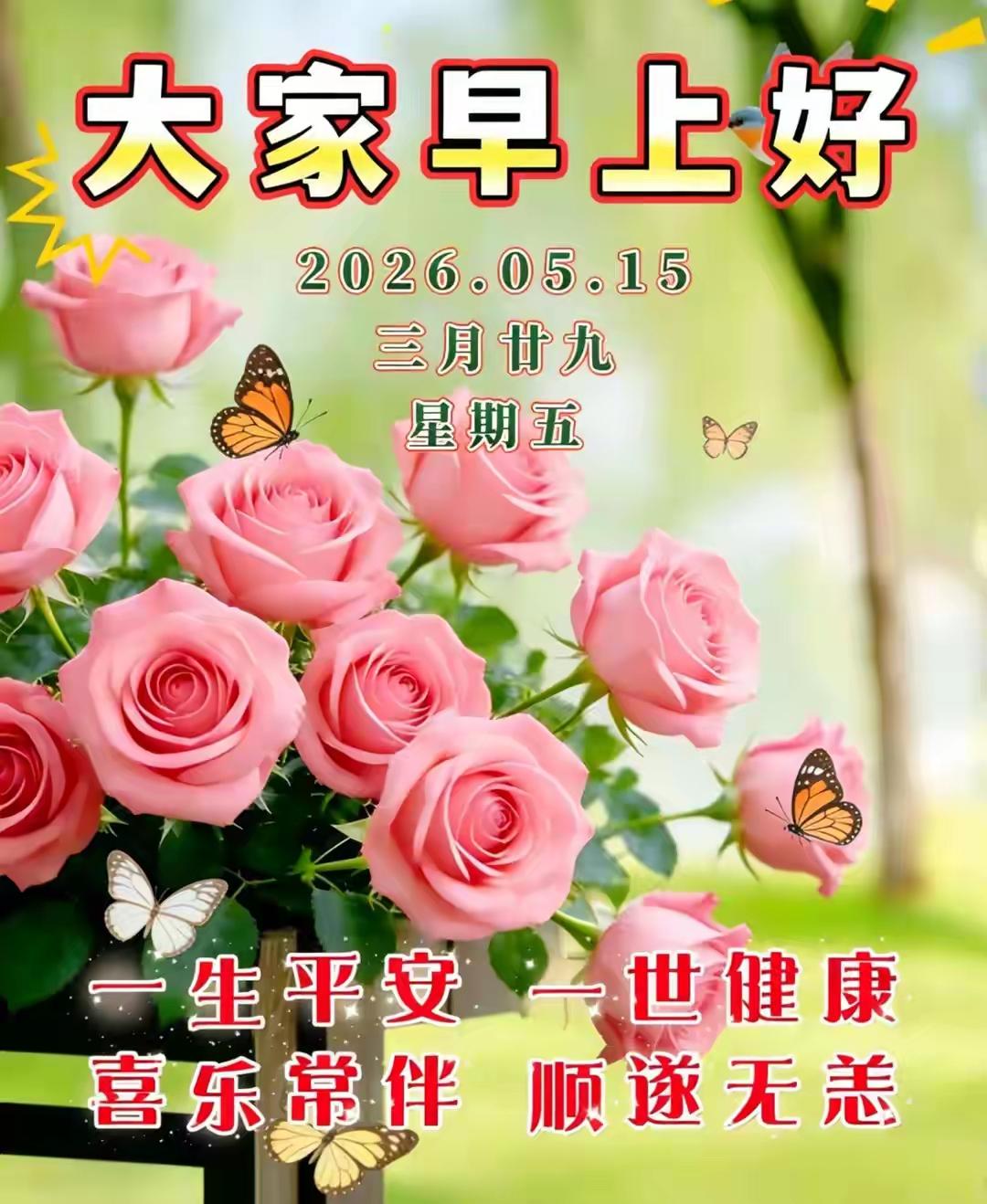 清晨阳光温柔洒落，带着满心暖意道一声早安🌞。感恩一路走来粉丝和友友们的暖心陪伴