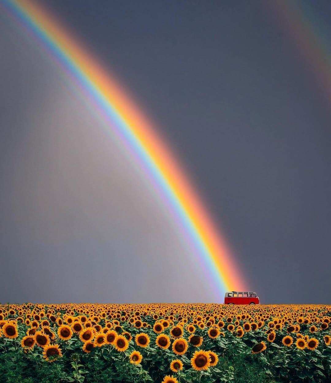 比加班更累的，是这种看不见的“精神内耗”，2026年新研究彻底说透了！你有没