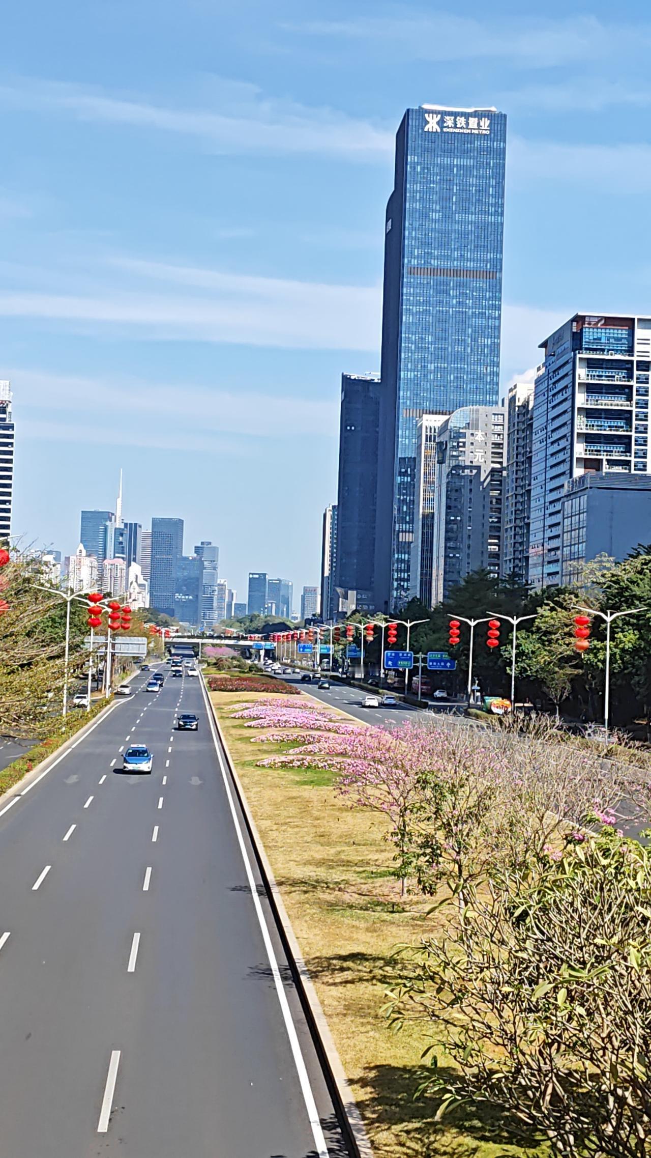 一年一度，超大城市深圳开启了“静音”的模式，虽然谈不上“空城”，在马路上车少了人