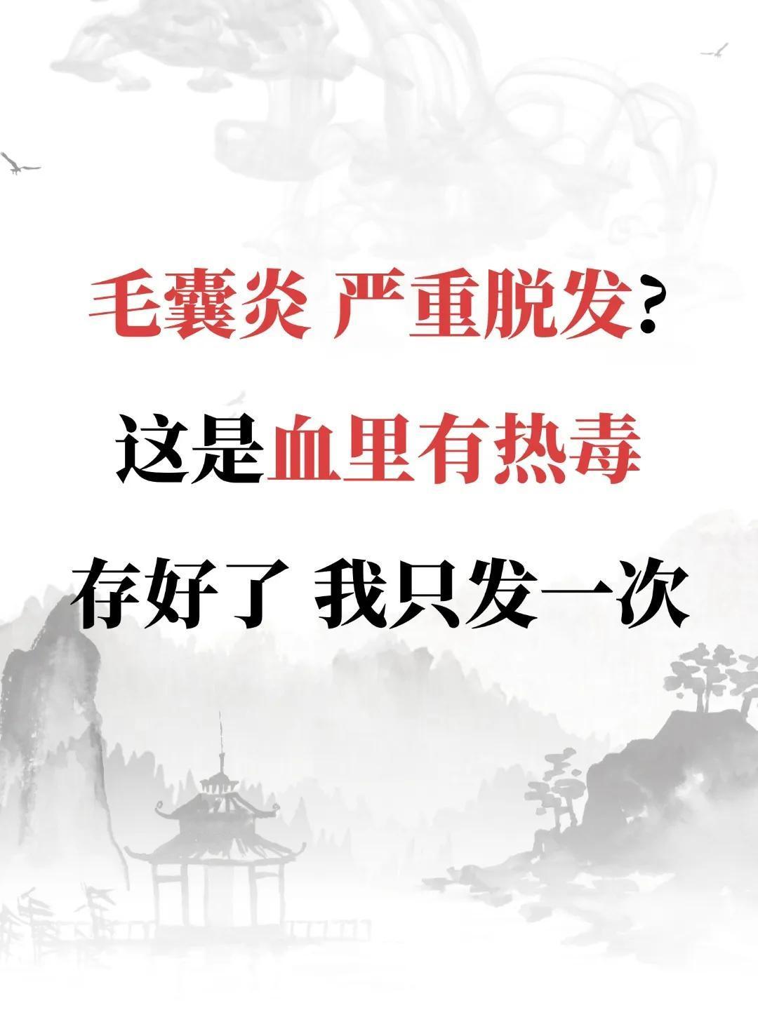 毛囊炎，严重脱发，这是血里有热毒