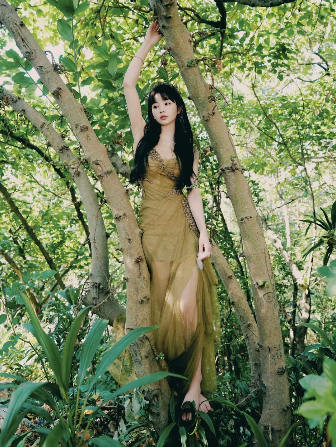田曦薇｜森系仙女🧚‍♀️