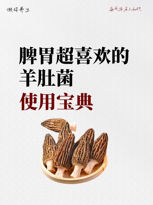 脾胃超喜欢的羊肚菌使用宝典，看这篇就够了