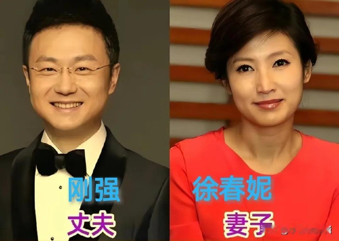 央视名嘴白岩松的爱人。央视名嘴杨帆的爱人。央视名嘴董倩的爱人。央视名嘴董卿